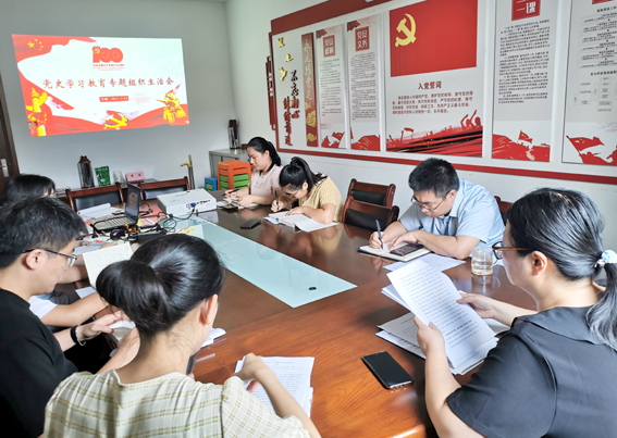 安博党支部召开党史学习教育专题组织生活会
